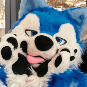 Huskgen’s profile picture