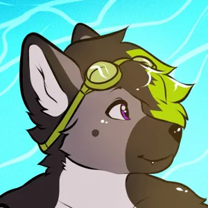 Zander’s profile picture