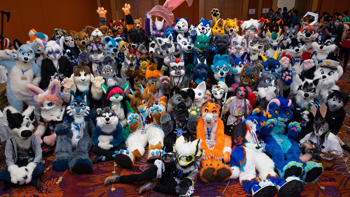 Home Little Island Furcon